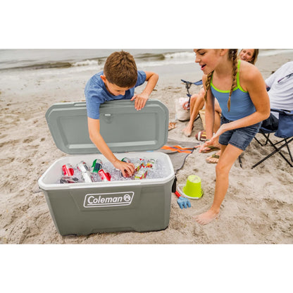 316 Series 70QT Hard Chest Cooler, Silver Ash